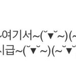 [EXO] 판 <b>운영</b>자