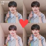 눈에 확 박히는 새싹 <b>신인남</b>