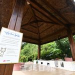 [꼭봐주세요] 캣맘들 하는짓 봐라