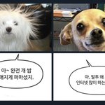 [19] 나 <b>초딩</b>때 내꺼 보여달라고 하는 친구있었음