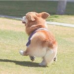 [꼭조언부탁] 고깃집 알바 <b>첫날</b>에 점장이 이러는거 뭐임