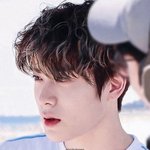 아니 정재현