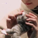 너네도 할머니 <b>생신때</b> 추석<b>때</b>처럼