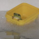 [댓글부탁해] 너네 토마토<b>주스</b> 먹고 꼭 잘치워ㅠㅠㅠㅠ