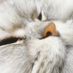 [드루와] 혹시 성이랑 이름 끝자 같은 사람있어?