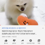[댓글부탁해] <b>푸</b><b>메</b> 미친거 아니야? ㅋㅋㅋㅋㅋㅋ