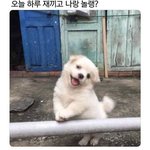 [드루와] 남주 후회물에 진심인사람이 쓰는 로판 추천
