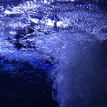 이 사진 완전 <b>청량</b>하게 보정해주실분