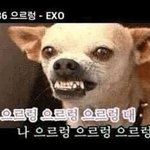 앙팡같은거보니깐 <b>발전</b>이 없는거야