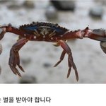 런쥔이랑 이동혁이 <b>벌크</b>업하는게