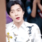 이거 <b>홍합</b>머리임?