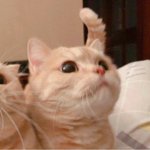 [드루와] 밖에 나갔을때 요거트같은 음료 먹으면