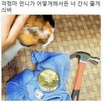 [댓글부탁해] 아 ㅅㅂ <b>원룸</b> 사는데 ㅈㄴ 시끄러움
