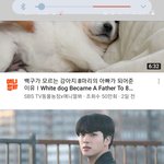 [방탄소년단] 진 이거 어느날<b>이얌</b>