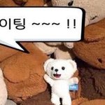 [드루와] 요구르트<b>젤리</b> 아는사람 있냐
