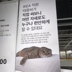 나 초딩<b>때</b> 쌤 수학<b>여행</b> 버스에서 토함ㅋㅋㅋㅋ