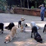 내 <b>개</b>땀<b>눈물</b>~