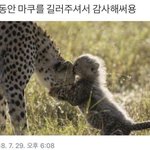 <b>오웅</b>    ㅠㅠㅠㅠㅠㅠㅠㅠㅠ ㅠㅠㅠㅠㅠ ㅠ