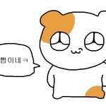와 나 이번 <b>시험</b> 개잘<b>봄</b>