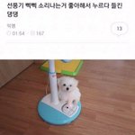 [드루와] 시디과 가고싶은데 공연기획 동아리 <b>도움</b>될까..??