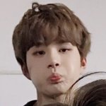 오늘 <b>정우</b> 강아쥐 데뷔 900일이래