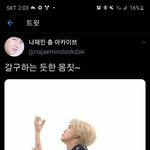 이거대체 뭐하는계정이노