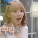 사쿠라 대하는 웬디 진짜인성