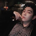 몰랐는데 나 소나무였나봄