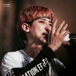 나는야 엑소 눈물 집착광<b>공녀</b>