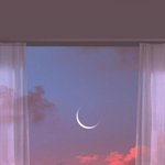 [드루와] 너 최애가 이러면 어떨 것 같아?