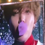 [방탄소년단] 사랑스러운 호비호비뀨