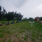 [강아지] 김제보호소