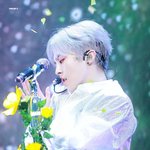 보고싶다 마이 <b>요정</b>