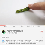 옛날학교 숲에있어서 <b>벌레</b> ㅈㄴ나왔는데