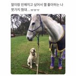 [19] ㅇㄴ 근데 <b>짝눈</b> 신기한거