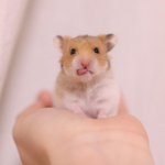 고3인데 너무 우울하고 <b>불안</b>해