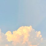 <b>intj</b> 되고싶당