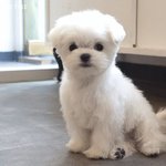 이러면 남친이 나 <b>외적</b>으로 안좋아하는거야?ㅠㅠ
