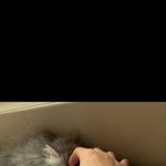 [댓글부탁해] <b>장용준</b>이 한 타투 똑같이 따라하고싶다