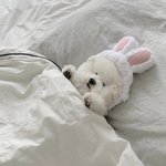 이거 나만 스트레스받아??ㅠ