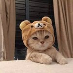 그..그래 <b>한참</b> 차이 나니까 금방 생각했겠지