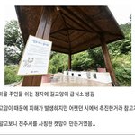 [19] 선 오지게 넘은 <b>캣맘</b>