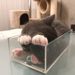 [댓글부탁해] <b>자퇴</b>생 집에서 할 일 추천해줘