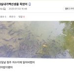 [EXO] 지 <b>범죄</b>저격<b>글</b> 기를쓰고 끝까지 미는거 웃기네