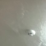 나 머리 개긴데 머리 묶으면 안될 <b>st</b>냐