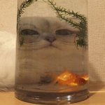 유리잔 <b>너머</b>로 비친 너의 모습...