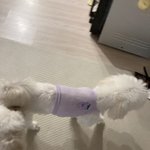 <b>옷사이즈</b>작냐