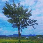 [이것좀봐줘] 방금 개웃긴 일 있었음;;;;;