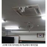 [이것좀봐줘] 에어컨 안틀어줄때 이거 개웃김ㅠㅋㅋㅋㅋㅋ