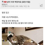 한국 하이틴???2000년대 너무 좋다
